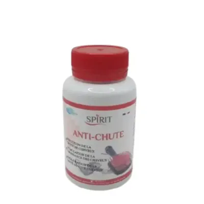 SPIRIT ANTI CHUTE