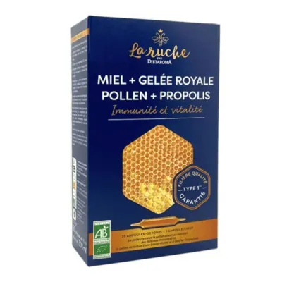 MERVEILLE DE LA RUCHE AMP