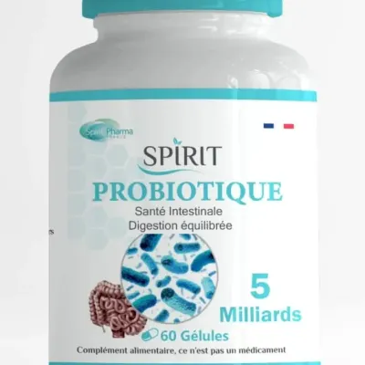 SPIRIT PROBIOTIQUE 60GELULES